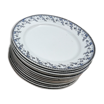 Lot of 12 plates Terre de fer "Montigny"