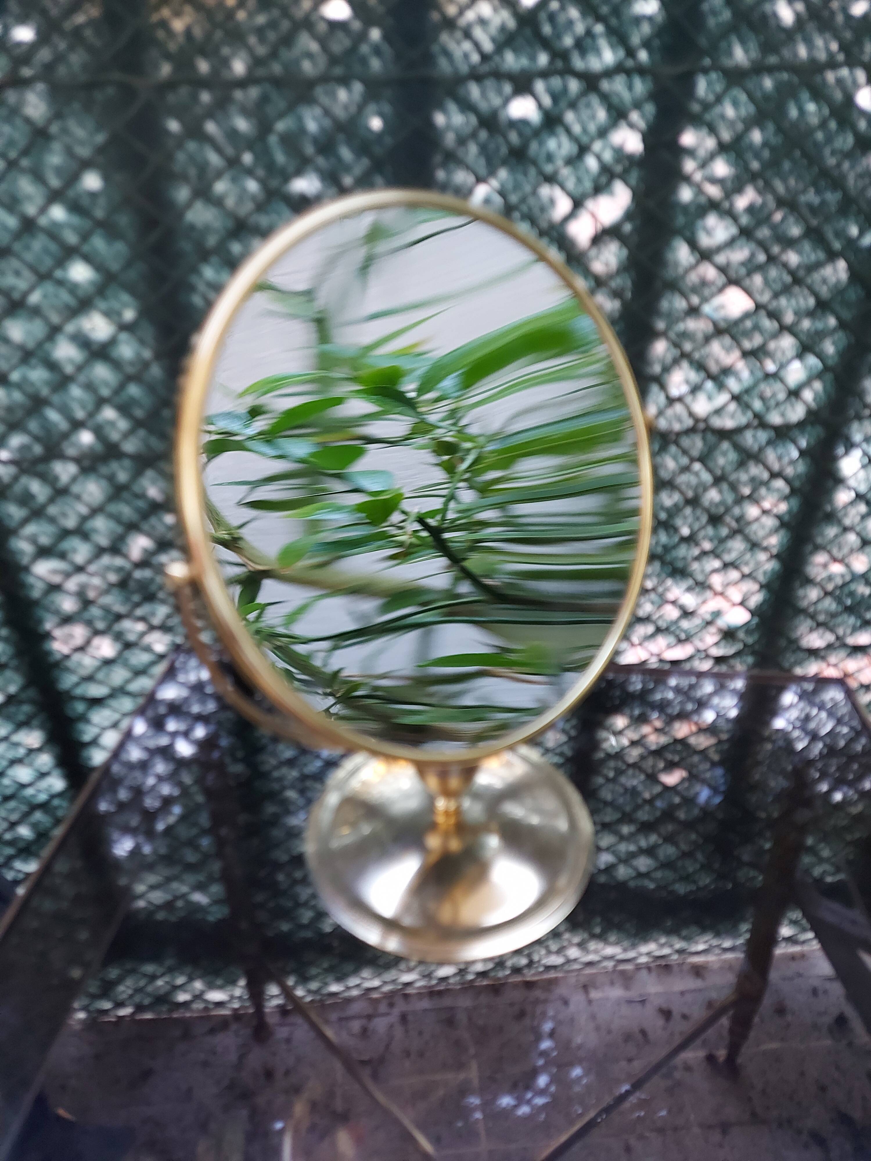 Brass psyche mirror