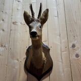 Deer head