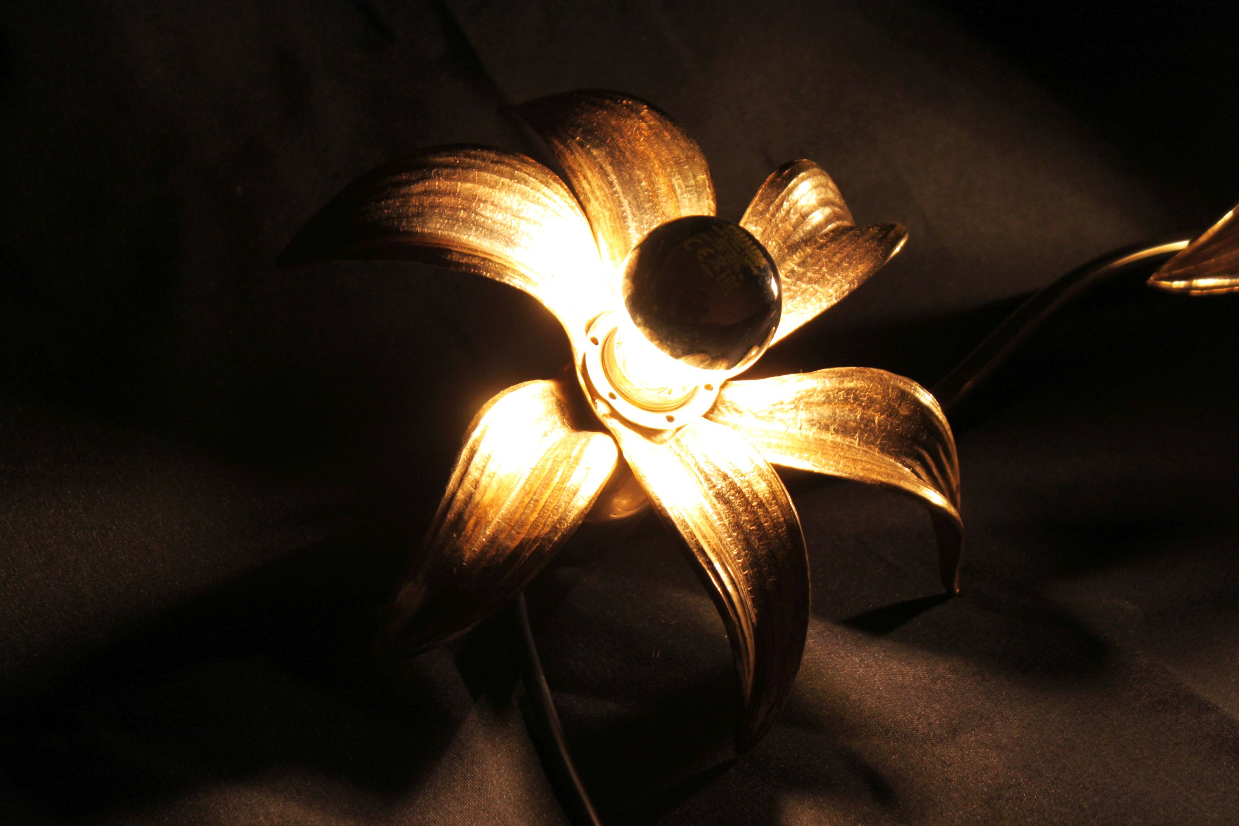 Two-flower wall light by Willy Daro, 1970