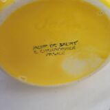 Small yellow pot of Salins