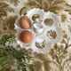 Early 20th century porcelain egg display