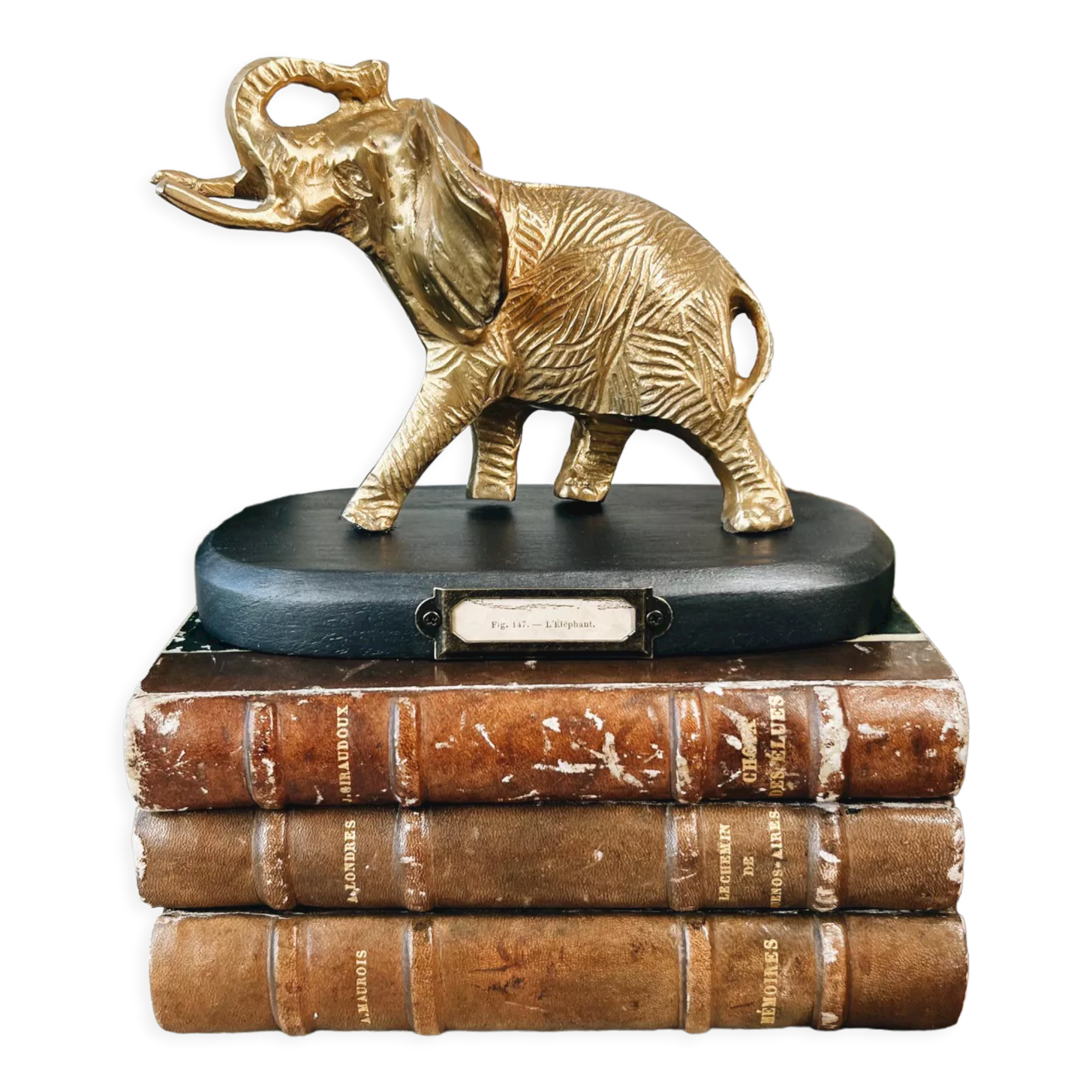 Bronze elephant on pedestal