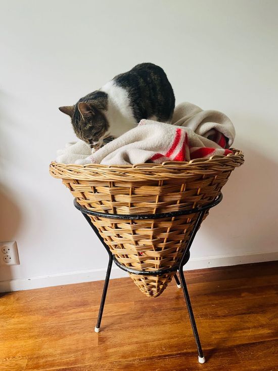 Vintage basket Rohe Noordwolde