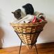 Vintage basket Rohe Noordwolde