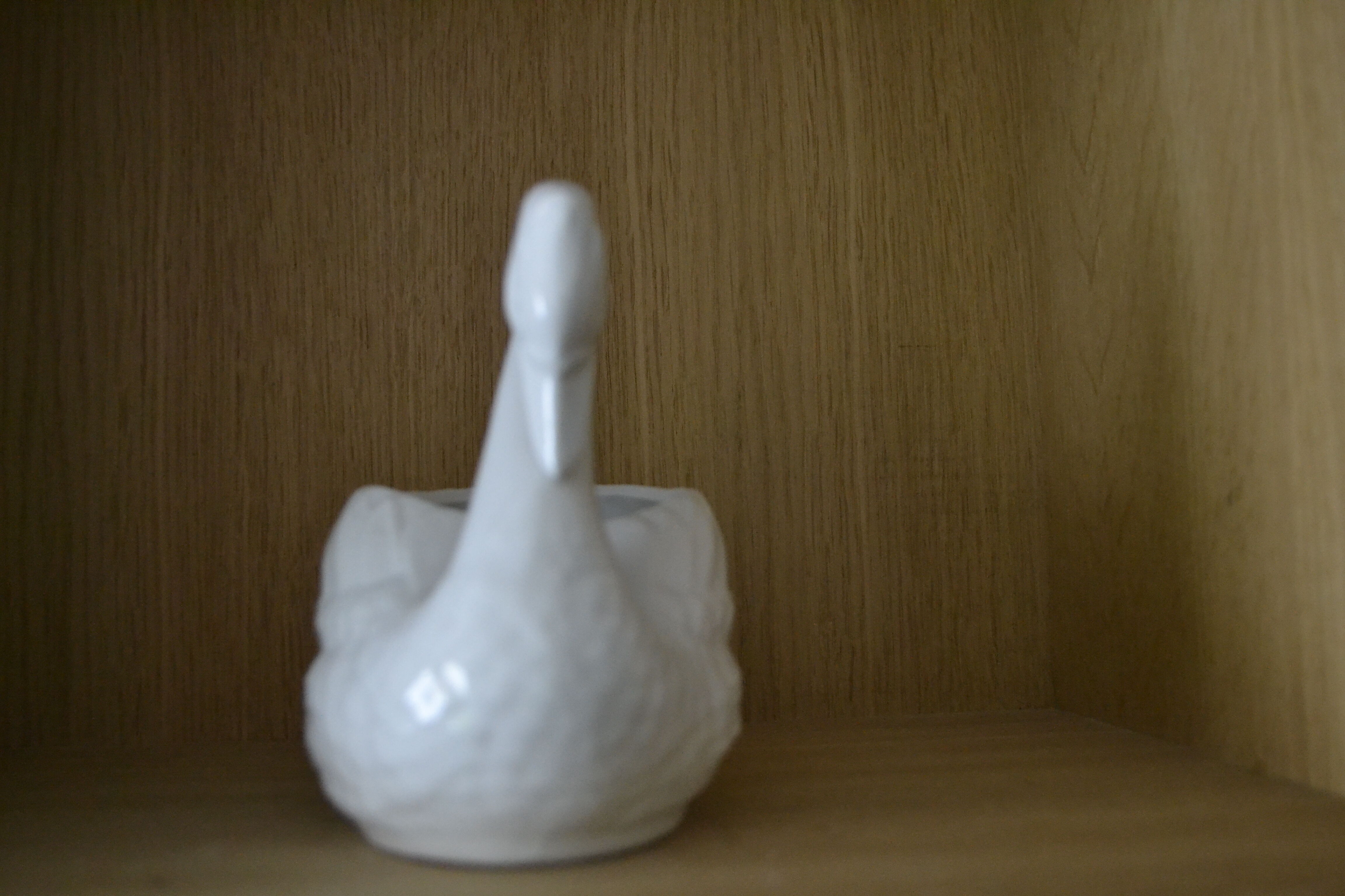 Swan pot cache