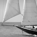 Photo of the boat Pen Duick.