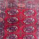 Carpet designs bukhara in wool 70x144 cm