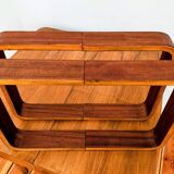 Czech Decorative Shelves attributed to Ludvik Volak for Drevopodnik Holesov