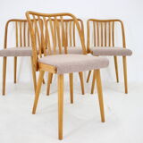 1970s Antonin Suman Set of 4 Oak Dining Chairs, Czechoslovakia