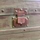 Travel trunk