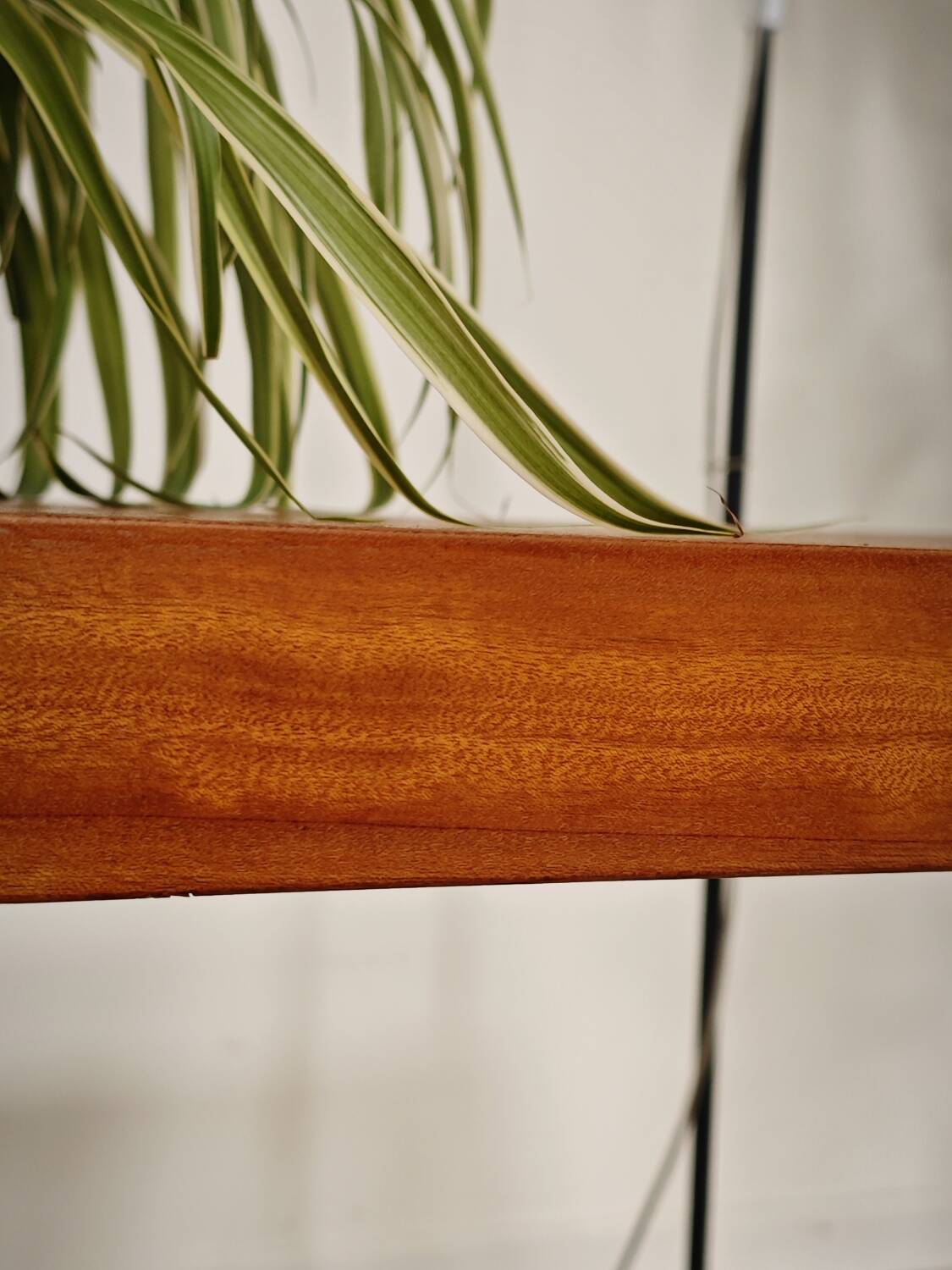 Side table compass legs Czechoslovakia Dievozpracujici mahogany