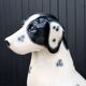 Grande statue chien dalmatien en céramique, années 80