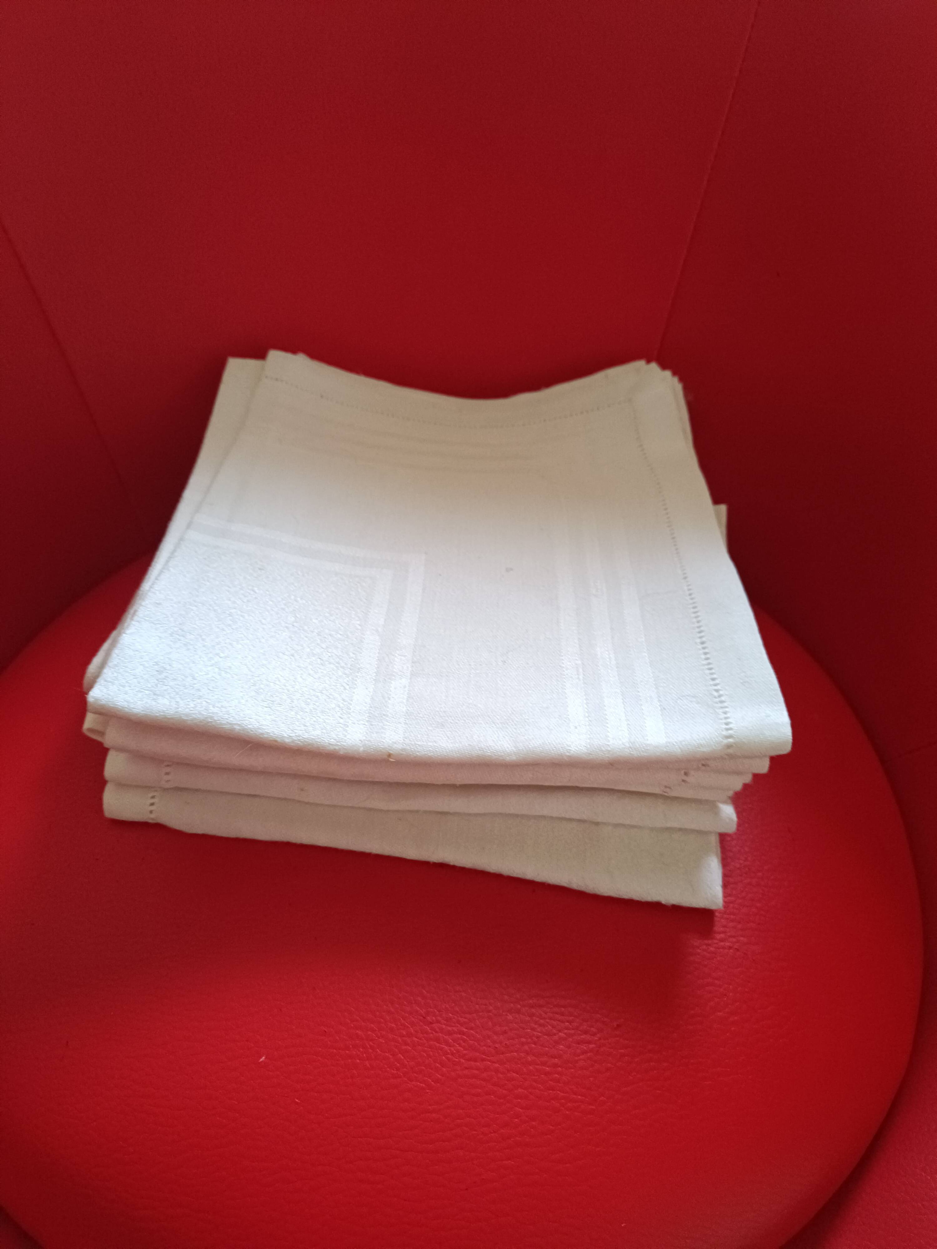 7 Damsée napkins with handmade small day border.