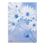 Drawing of daisies. Flowers. Painting of flowers. Drawing of flowers. Daisies drawn in color.