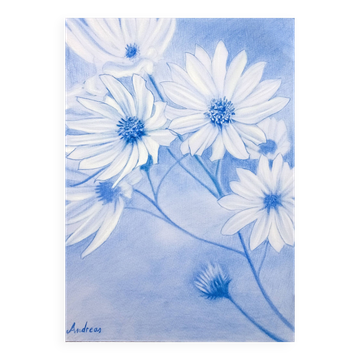 Drawing of daisies. Flowers. Painting of flowers. Drawing of flowers. Daisies drawn in color.