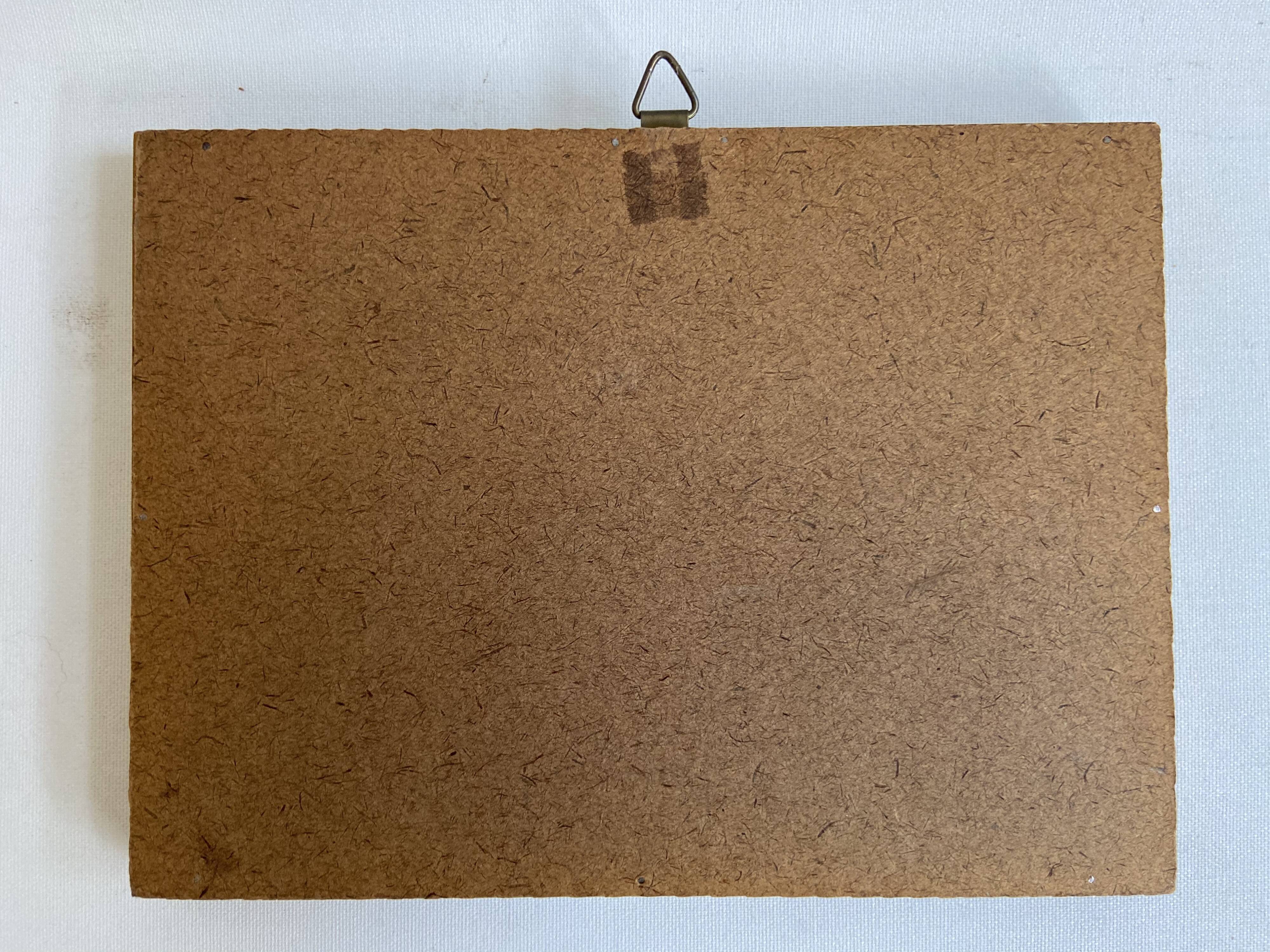 Framed naturalized butterfly