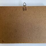 Framed naturalized butterfly