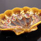 Vallauris coquillage
