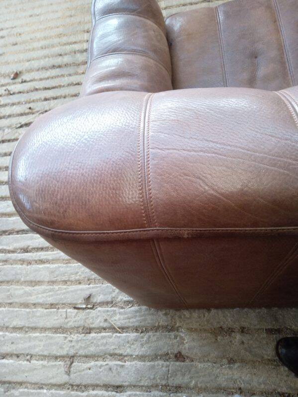 Sofa assigned De SEDE DS 44