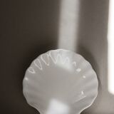 White shell cup