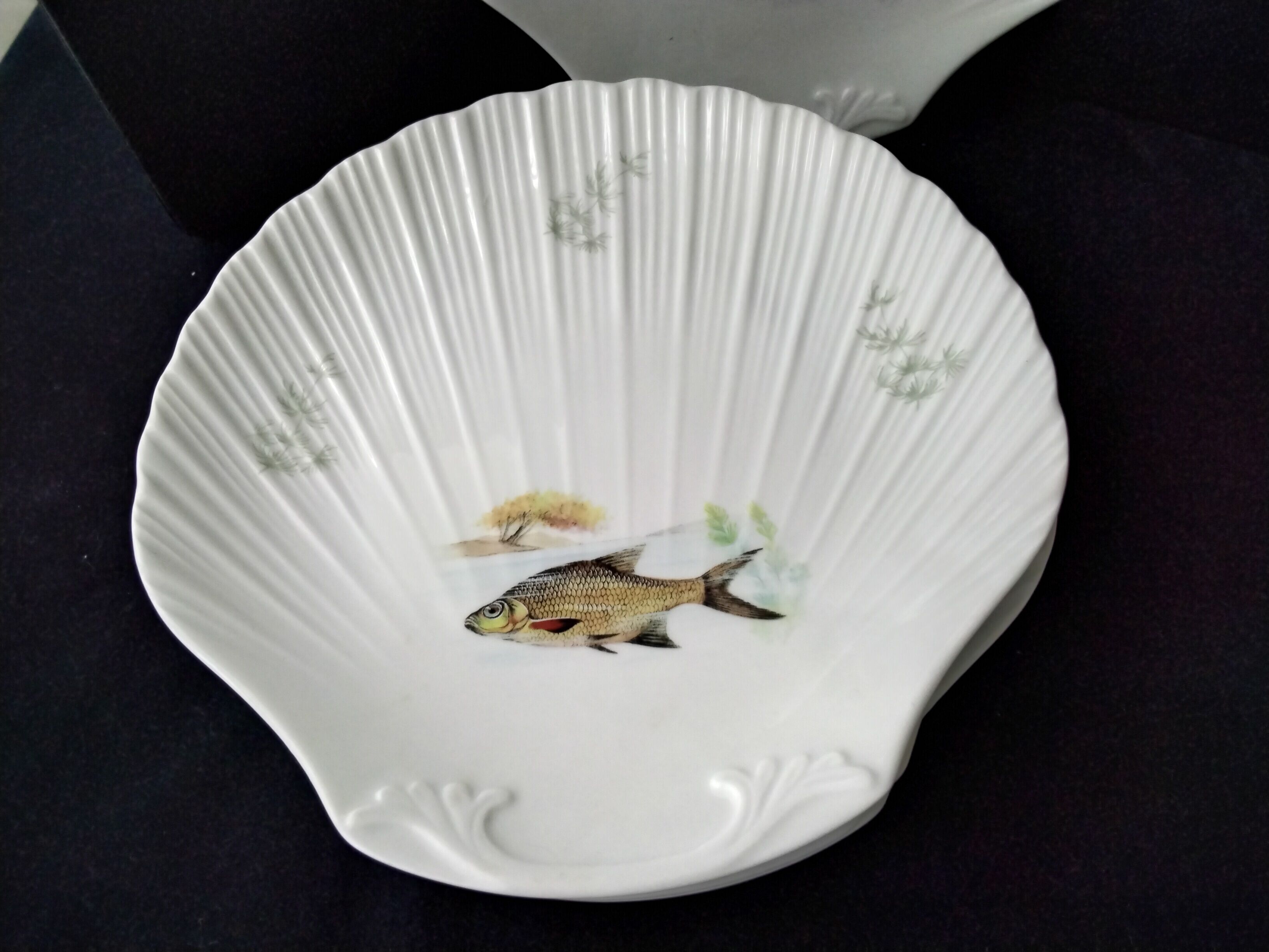 6 Limoges porcelain fish plates