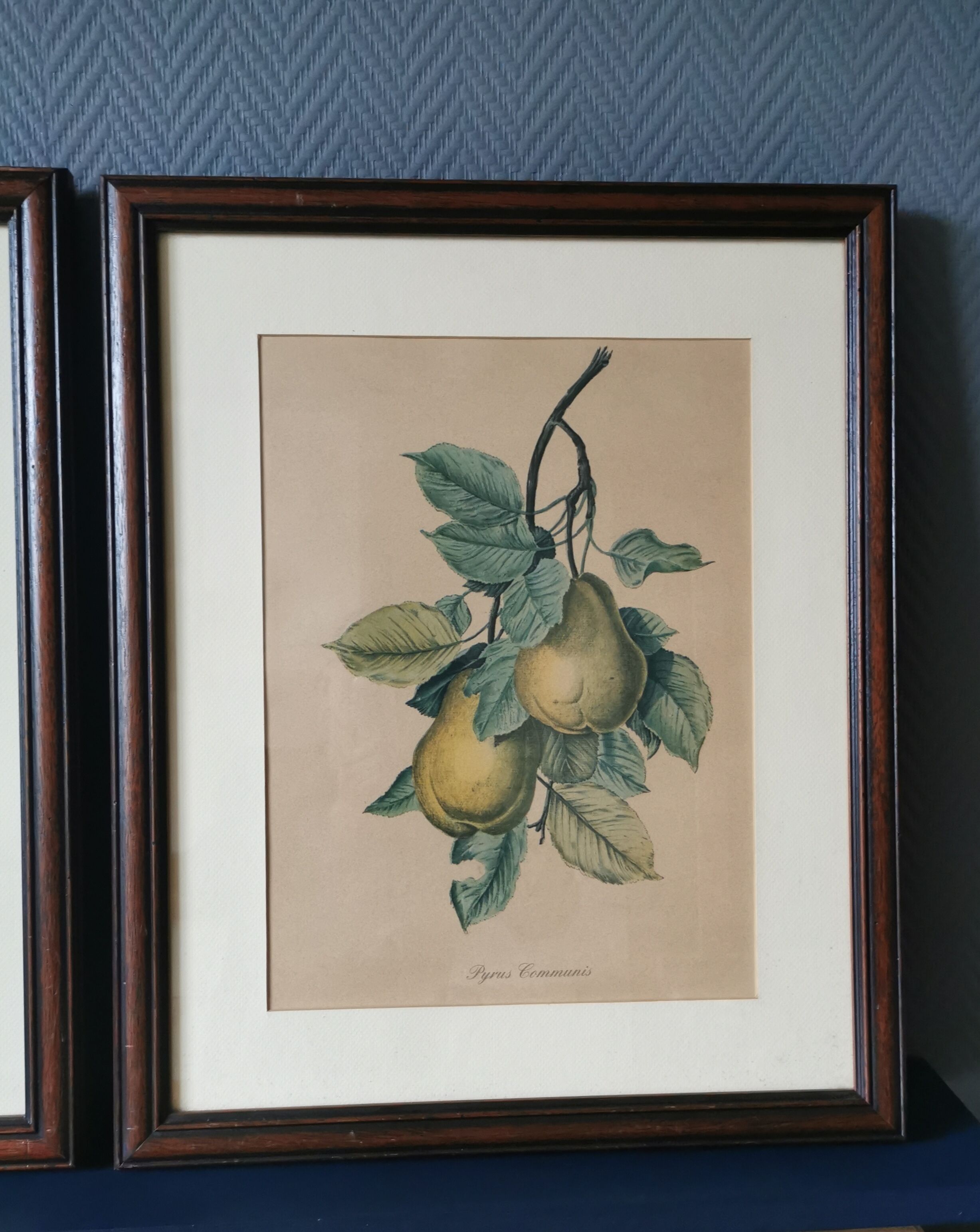 2 tableaux reproduction poires et prunes