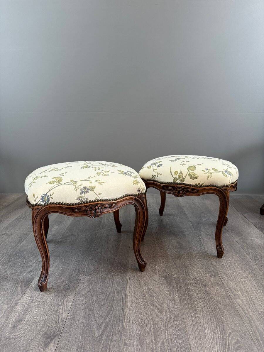 Pair of Louis XV Style Armchairs and Two Footstools, 19th Century