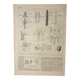 Gravure ancienne 1922 - Anatomie des insectes