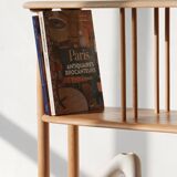 Vintage Bookcase / Room Divider - Windsor / Giraffe Model - Ercol