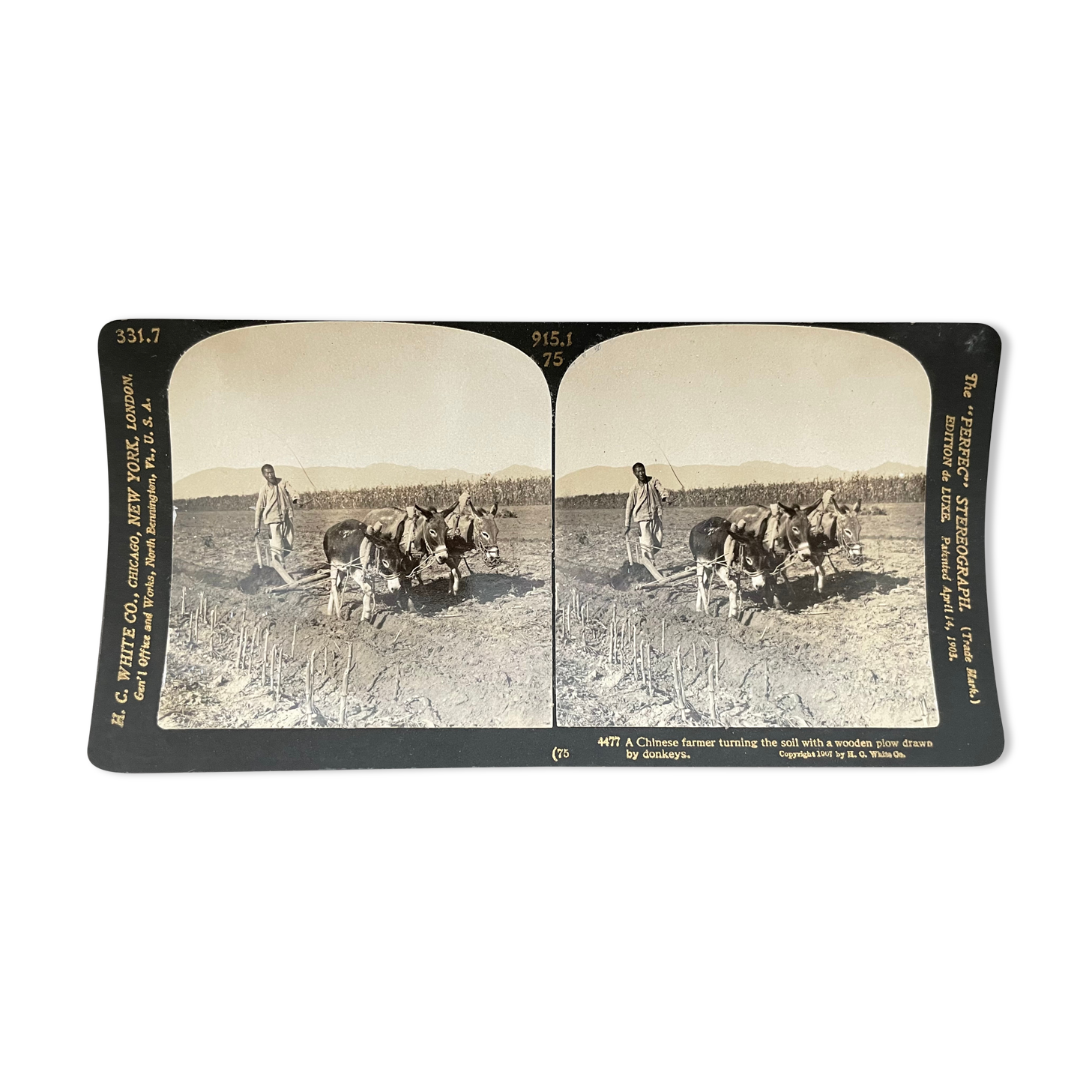 Old photography stereo, stereograph, luxury albumin 1903 Chinese farmer