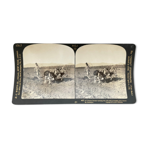 Photographie ancienne stereo, stereograph,