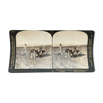 Old photography stereo, stereograph, luxury albumin 1903 Chinese farmer