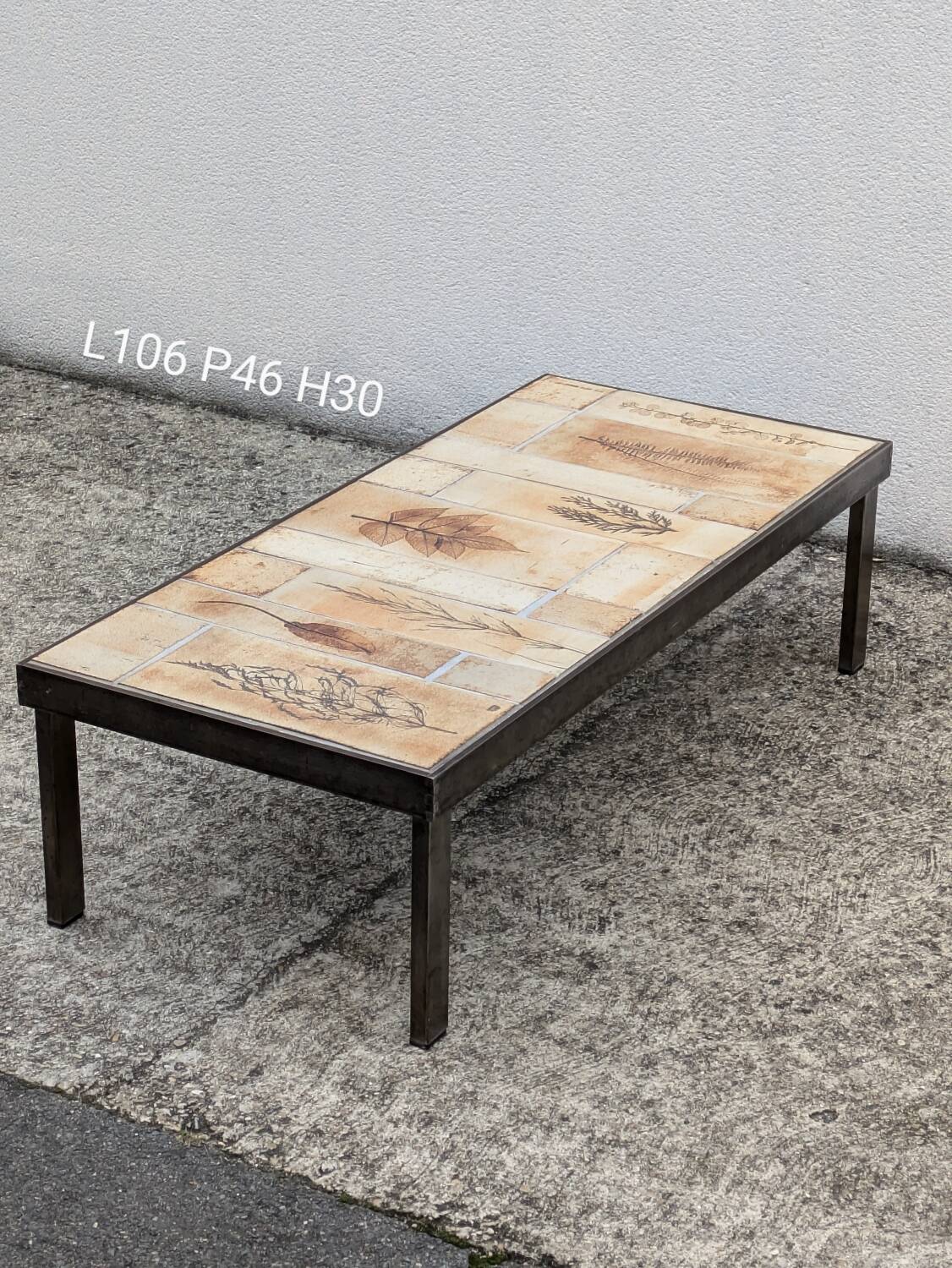 Roger Capron "herbarium" rectangular coffee table with patinated steel structure