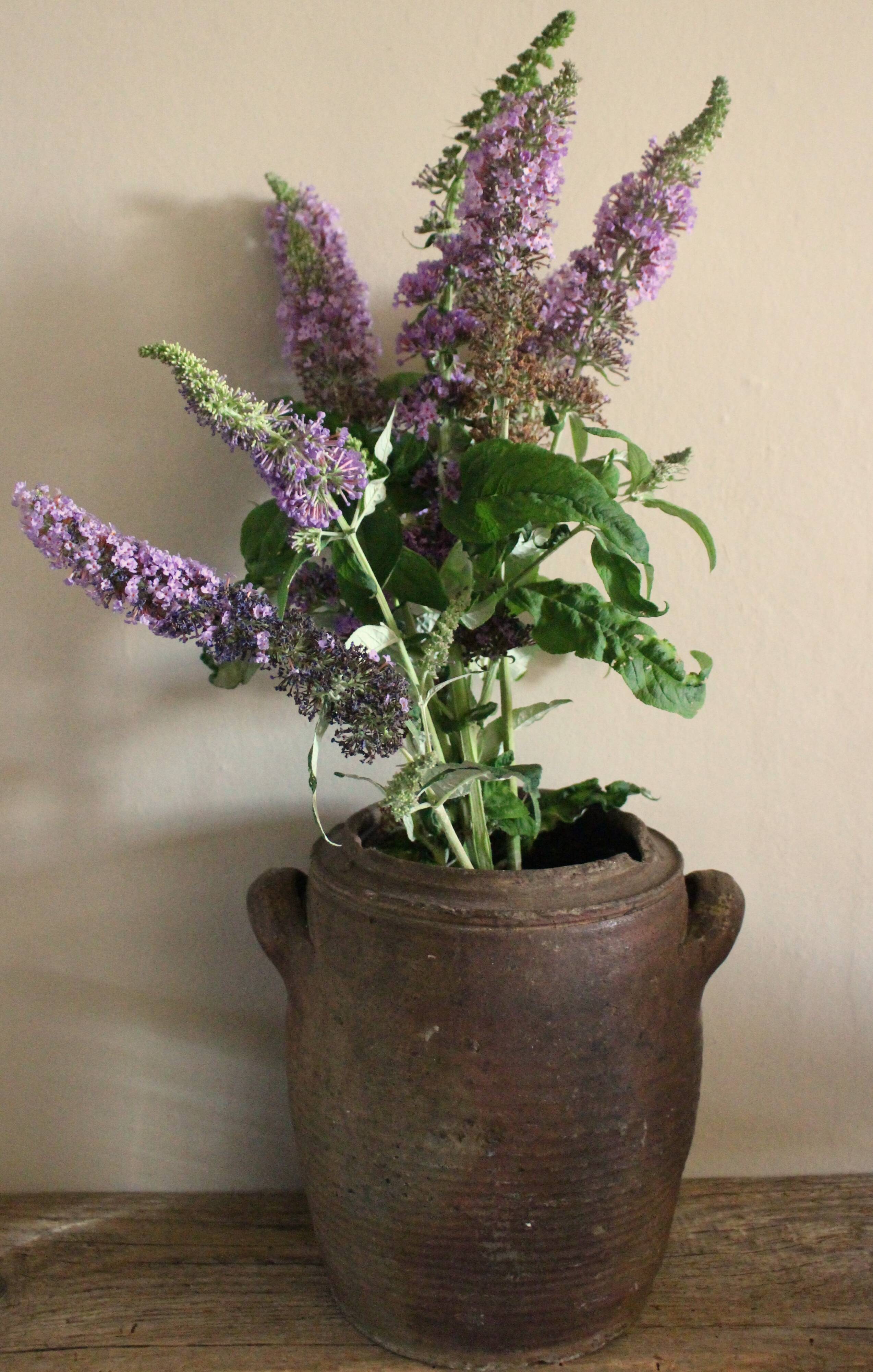 Vase Terracotta pot two handles handcrafted
