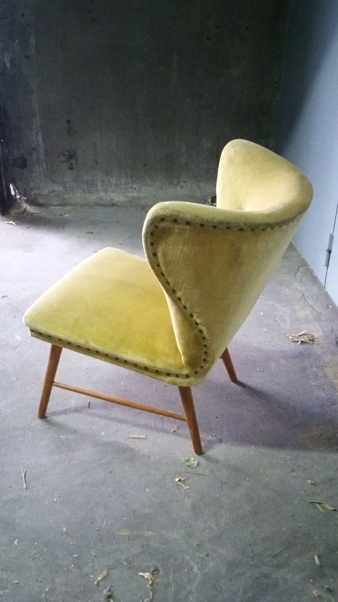 Yellow green trio of drivers at Danish flesh wing ears Elias Svedberg years 50/60