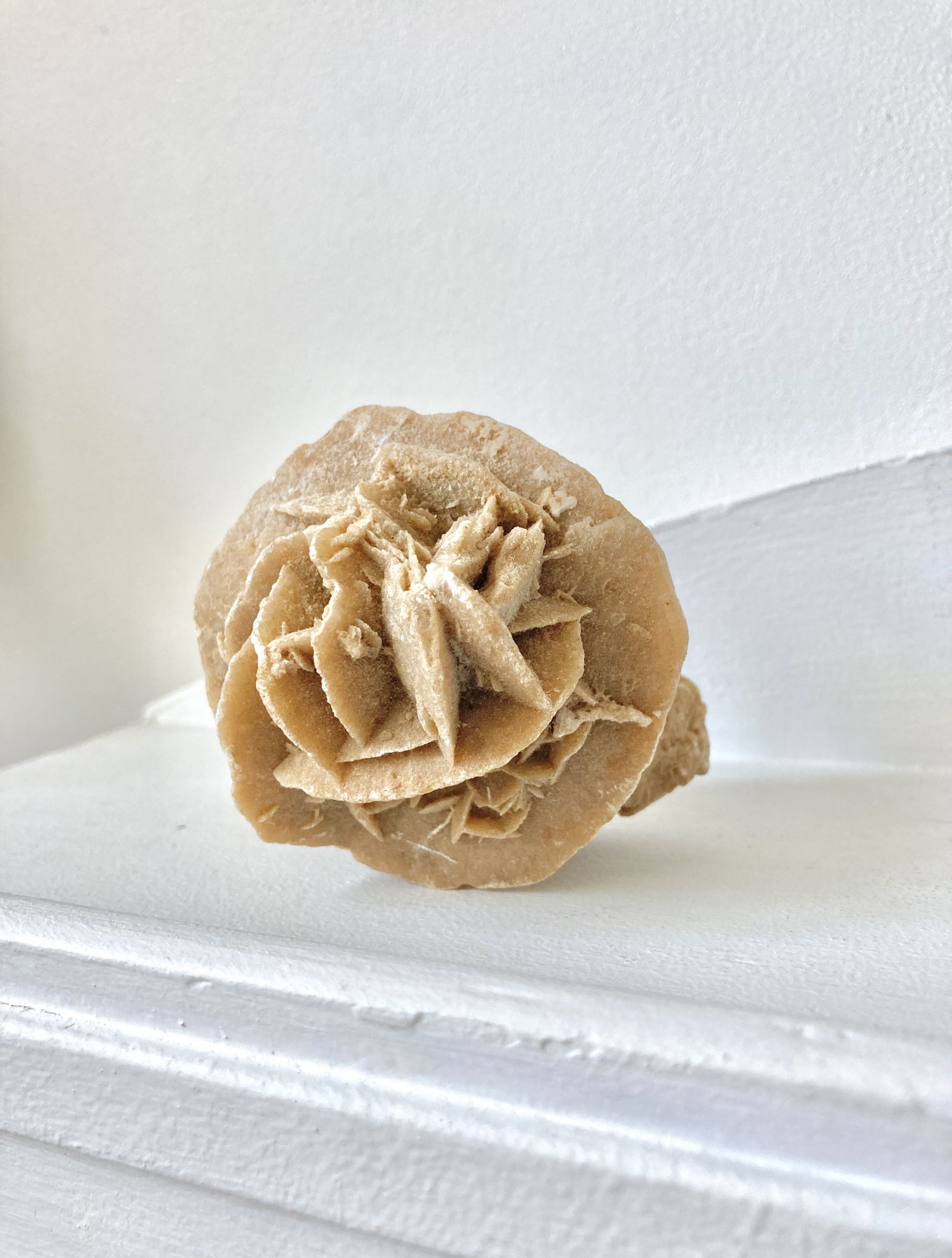 Sand rose