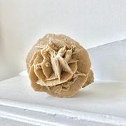 Sand rose