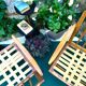 Pair of Thonet armchairs