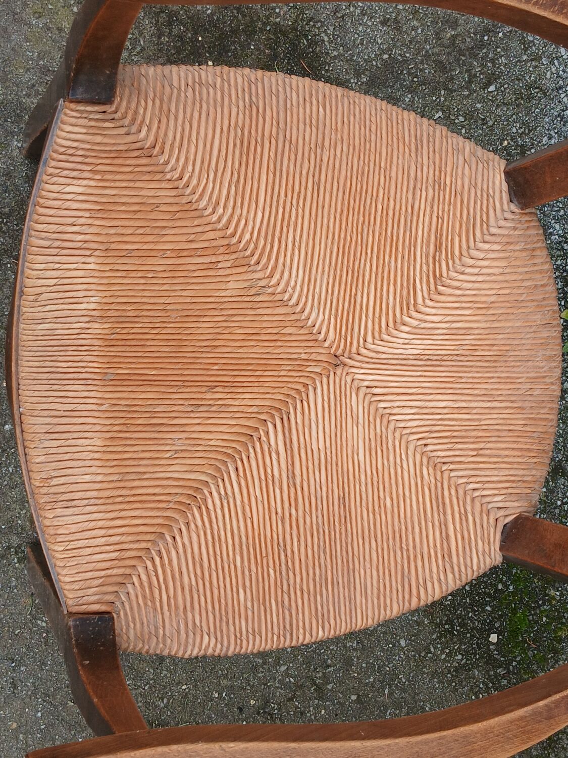 Pair of antique straw-seated armchairs
