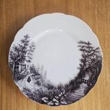 Fruit service Haviland & Co Limoges