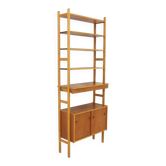 Scandinavian teak and oak bookcase, Sweden, 1960