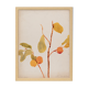Watercolor illustration flowers