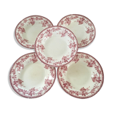 Set of five iron earth soup plates