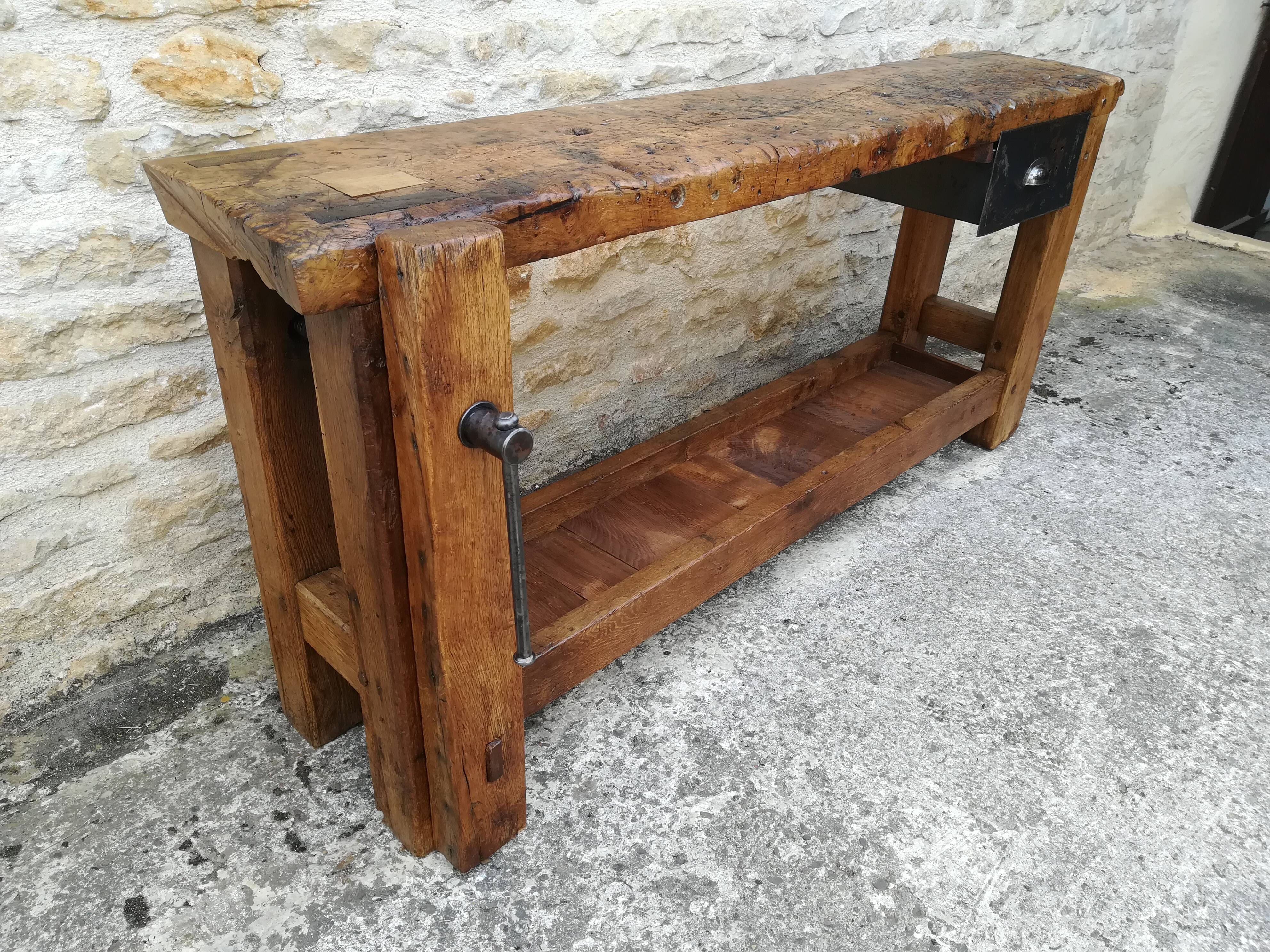 Established in elm and oak