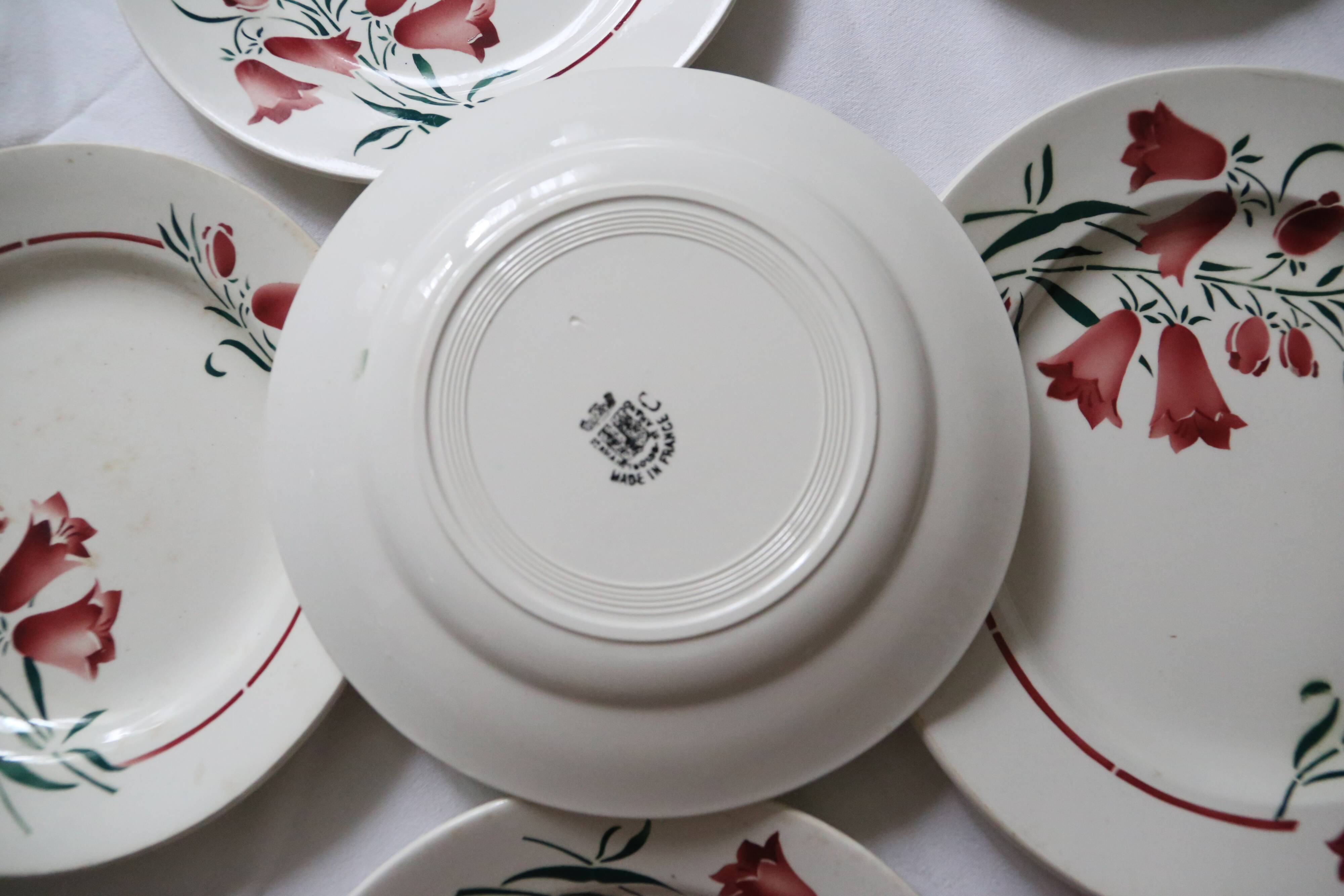 Set of 9 flat plates and 1 round dish, Saint Amand, vintage French, authentic, rare, countryside