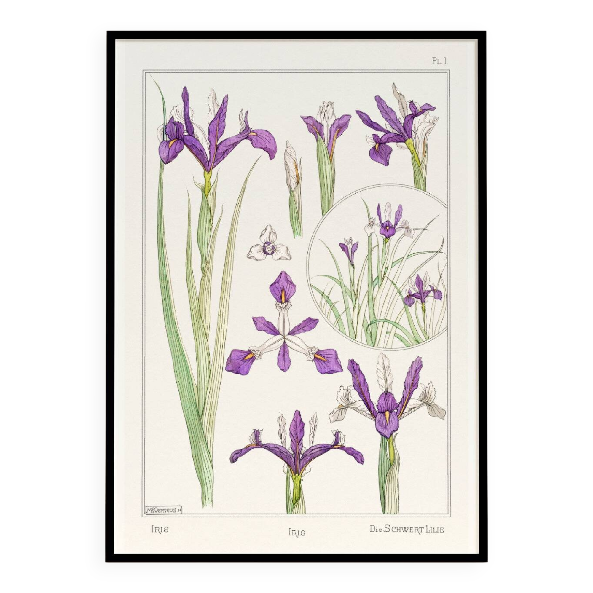 Affiche “Iris”, d’après une lithographie art nouveau de 1897