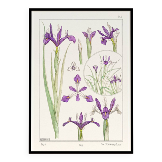 Poster “Iris”, after an Art Nouveau lithograph from 1897