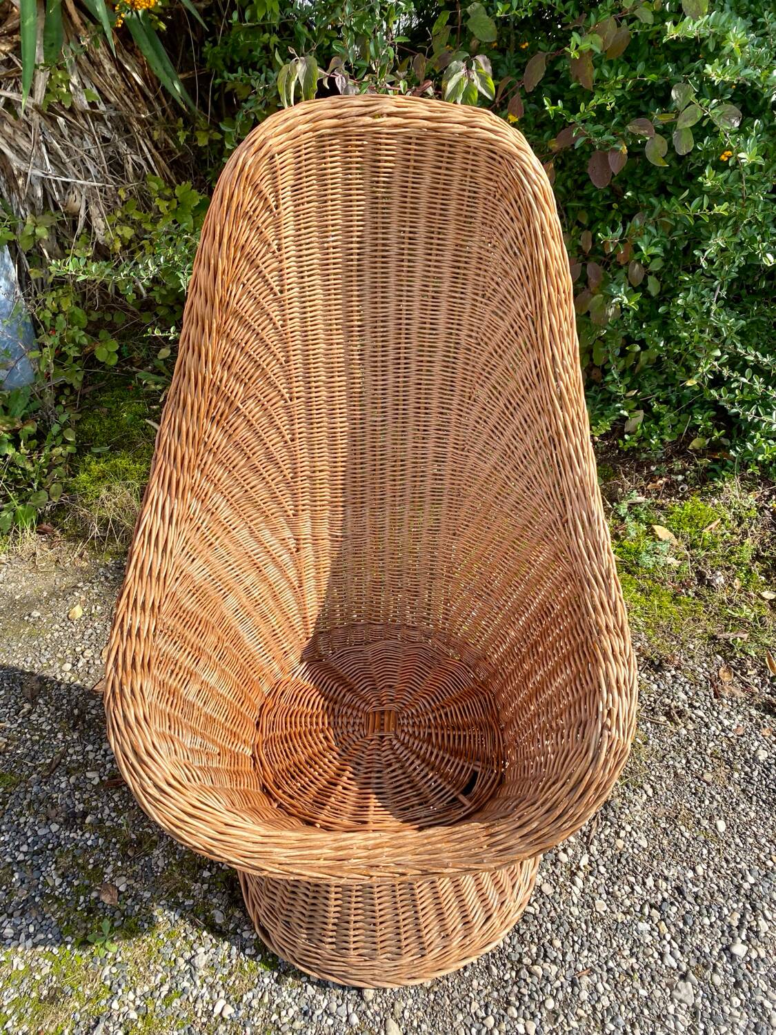 Rattan armchair and its cushion, 1960