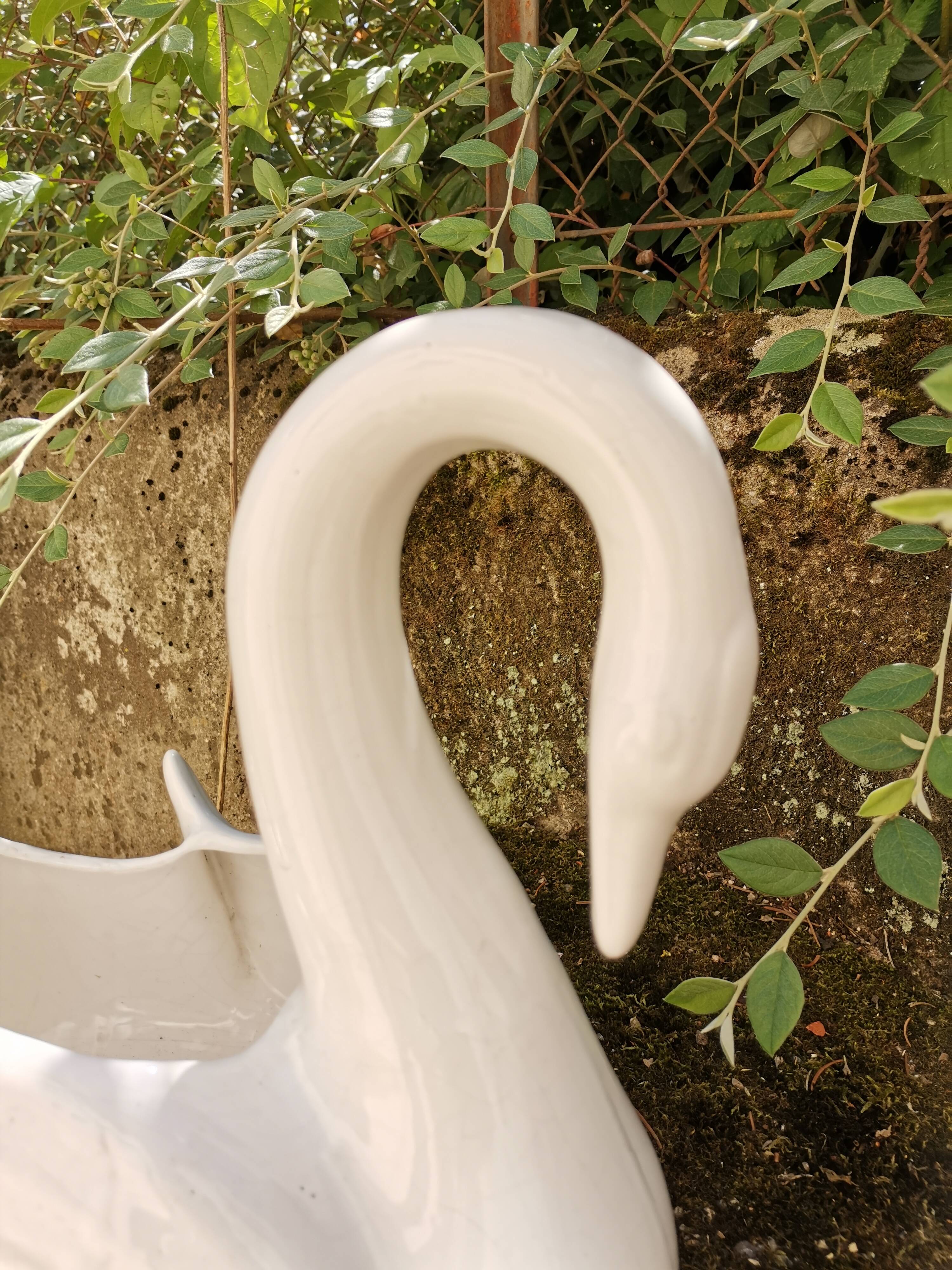 Swan hide-pot